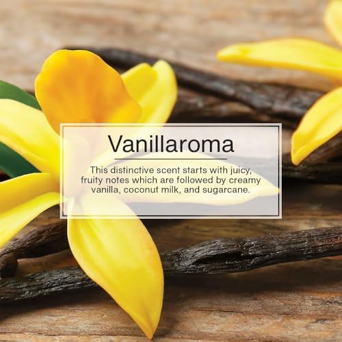 LITTLE TREES Car Air Freshener | Hanging Paper Tree for Home or Car | Vanillaroma | Single Tree per Package - Image 3