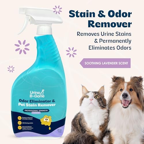 Urine B-Gone Enzyme Cleaner for Human, Cat & Dog Urine, Lavender, 32 oz - Image 3