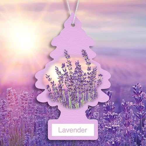 LITTLE TREES Car Air Freshener | Hanging Tree Provides Long Lasting Scent for Auto and Home | 24 Air Fresheners |Lavender - Image 3