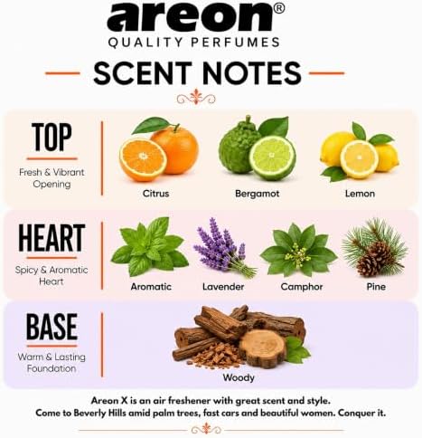 AREON X Mountain Fresh Paper Hanging Car Air Freshener - Pack of 12 - Image 3