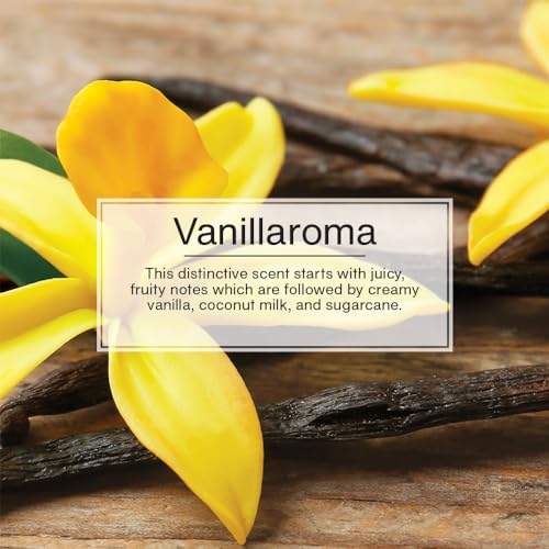 LITTLE TREES Car Air Freshener Xtra Strength Provides Long-Lasting Scent for Auto or Home Extra Boost of Fragrance Vanillaroma, 24 Air Fresheners (Pack of 36) - Image 5