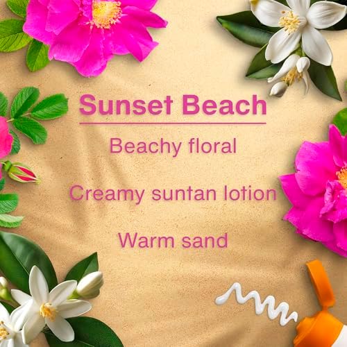 LITTLE TREES Car Air Freshener | Hanging Tree Provides Long Lasting Scent for Auto and Home | 24 Air Fresheners |Sunset Beach - Image 4