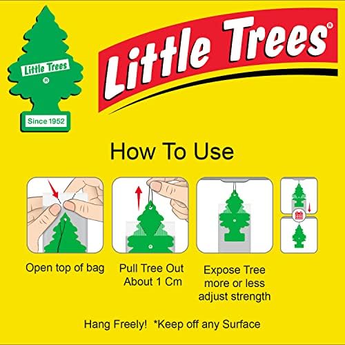 LITTLE TREES Car Air Freshener | Hanging Paper Tree for Home or Car | Royal Pine | 12 Pack - Image 5