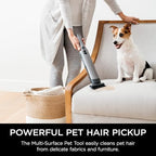 Shark WV201 WANDVAC Handheld Vacuum, Lightweight at 1.4 Pounds with Powerful Suction, Charging Dock, Single Touch Empty and Detachable Dust Cup,Graphite, Slate - Image 6