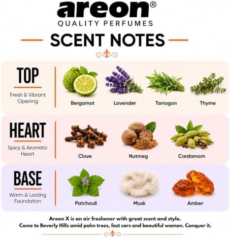 AREON X Beverly Hills Paper Hanging Car Air Freshener - Pack of 12 - Image 3