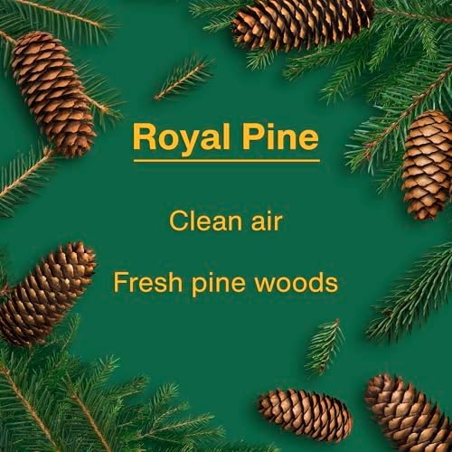 LITTLE TREES Car Air Freshener | Hanging Tree Provides Long Lasting Scent for Auto and Home | Royal Pine, 24 Air Fresheners - Image 4