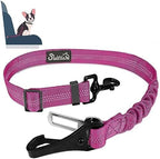 SlowTon Dog Car Seat Belt, 3 in 1 Latch Bar Attachment Dog Safety Seatbelt | Hook Latch Bar& Seatbelt Buckle, Reflective, Heavy Duty Nylon, Durability, Easy of Use, for Travel Riding,FL Pink,27.5" by SlowTon