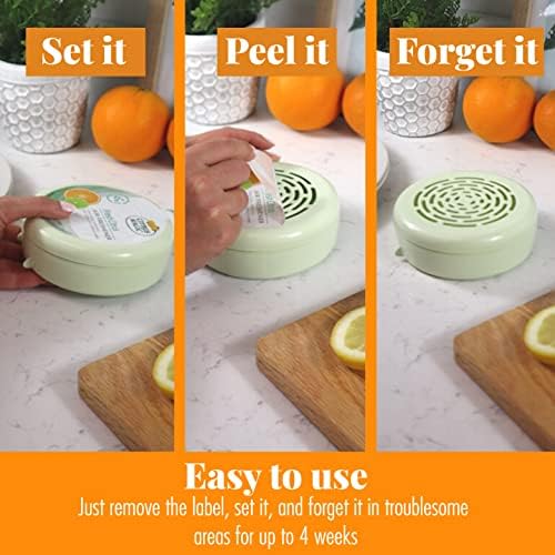 Citrus Magic Solid Air Fresheners, Fresh Citrus, 8 Ounce, Pack of 2 - Image 5