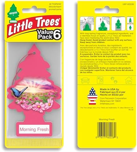 LITTLE TREES Car Air Freshener | Hanging Tree Provides Long Lasting Scent for Auto and Home | 24 Air Fresheners |Morning Fresh - Image 2