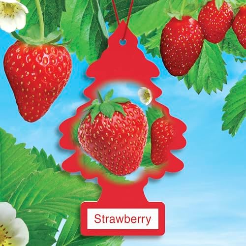 LITTLE TREES Car Air Freshener I Hanging Tree Provides Long Lasting Scent for Auto or Home I Strawberry, 6-Packs (4 Count) - Image 3
