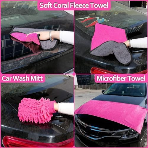 THINKWORK Car Detailing Kit, Interior Exterior Cleaning Set for Vehicles - Image 3