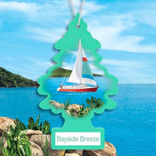 LITTLE TREES Car Air Freshener | Hanging Tree Provides Long Lasting Scent for Auto and Home | 24 Air Fresheners |Bayside Breeze - Image 3