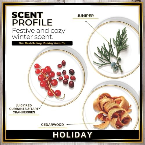 Urban Naturals Car Air Freshener Diffuser 3 Pack, Holiday Scent - Image 4
