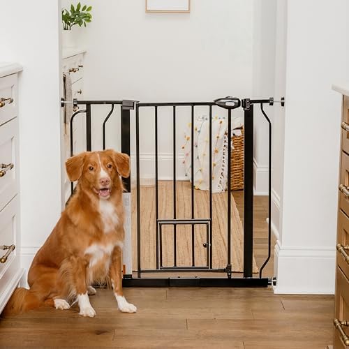 Carlson 29.5–36.5” Extra Wide Dog Gate with Small Pet Door, Walk-Through Pressure Mounted Metal Indoor Pet Safety Gate, Black, Tested and Trusted by Pet Parents, American Designed, American Owned by Carlson%C2%AEPetProducts
