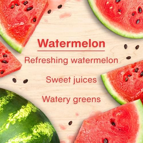 LITTLE TREES Car Air Freshener | Hanging Tree Provides Long Lasting Scent for Auto and Home | 24 Air Fresheners |Watermelon - Image 4
