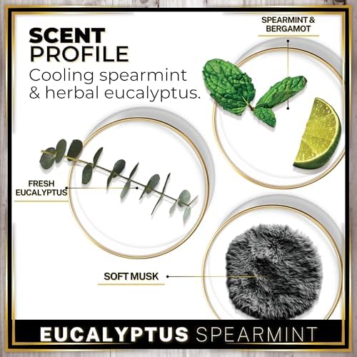 Urban Naturals Car Air Freshener Diffuser 1 Pack, Eucalyptus Spearmint - Image 4