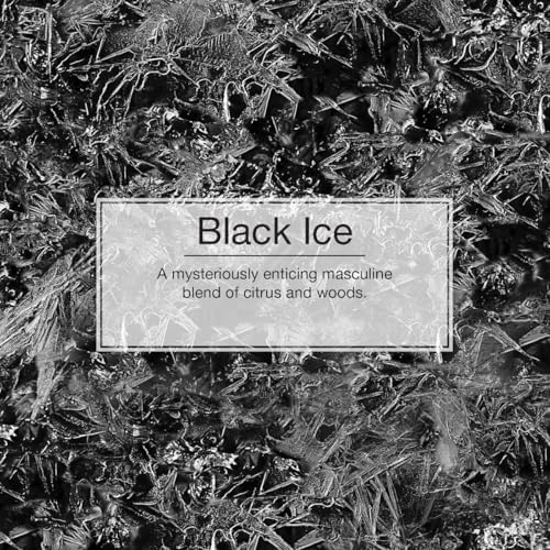 Little-Trees Black Ice Little Tree Air Freshener- 24 Pack - Image 5