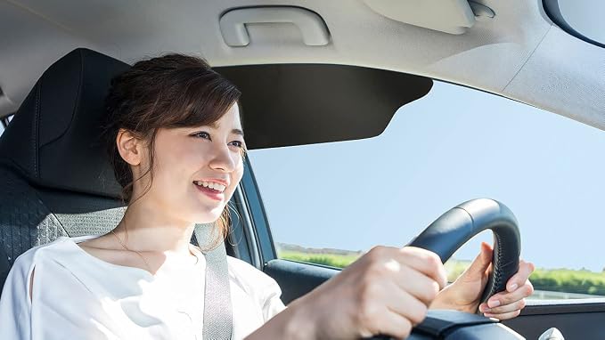 Windshield Sunshade for Car Sun Window Shade Visor Shades Sunshade Visors Extender (2 Pack) by RoyaltyEssentials
