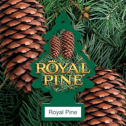 LITTLE TREES Car Air Freshener | Hanging Tree Provides Long Lasting Scent for Auto and Home | Royal Pine, 24 Air Fresheners - Image 3