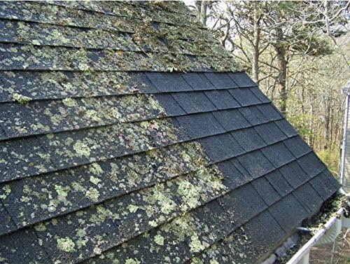 Wash Safe™ ROOF WASH Eco-Safe and Organic Roof Cleaner, 3 lb. | Clear, Bleach-Free Concentrate | Clean Up to 3,000 sq. ft. of Asphalt, Wood, Slate and Ceramic Shingles or Tiles - Image 2