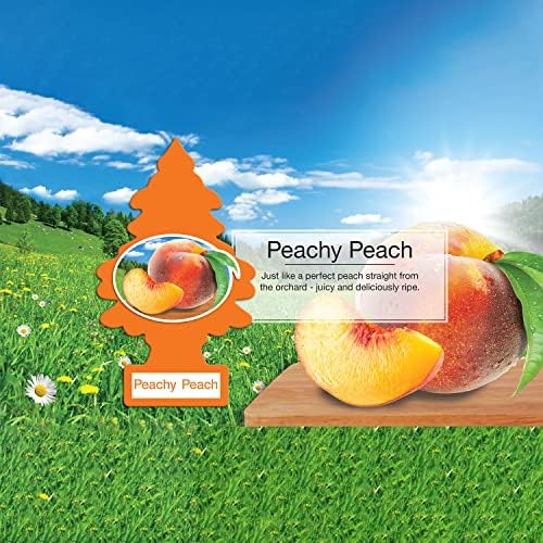 Little Trees Cardboard Hanging Car, Home & Office Air Freshener, Peachy Peach (Pack of 6) - Image 5