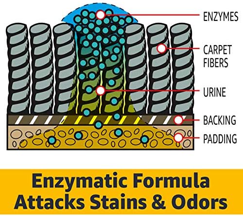 AmazonCommercial Multi-Purpose Enzyme Cleaner, Stain & Odor Remover, Pet Stain Remover, 1-Gallon, 1-Pack - Image 7