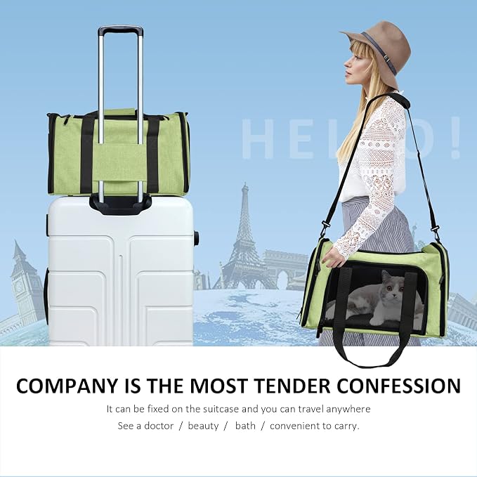 Henkelion Large Cat Carriers Dog Carrier Pet Carrier for Large Cats Dogs Puppies up to 25Lbs, Big Dog Carrier Soft Sided, Collapsible Travel Puppy Carrier - Large - Green - Image 6