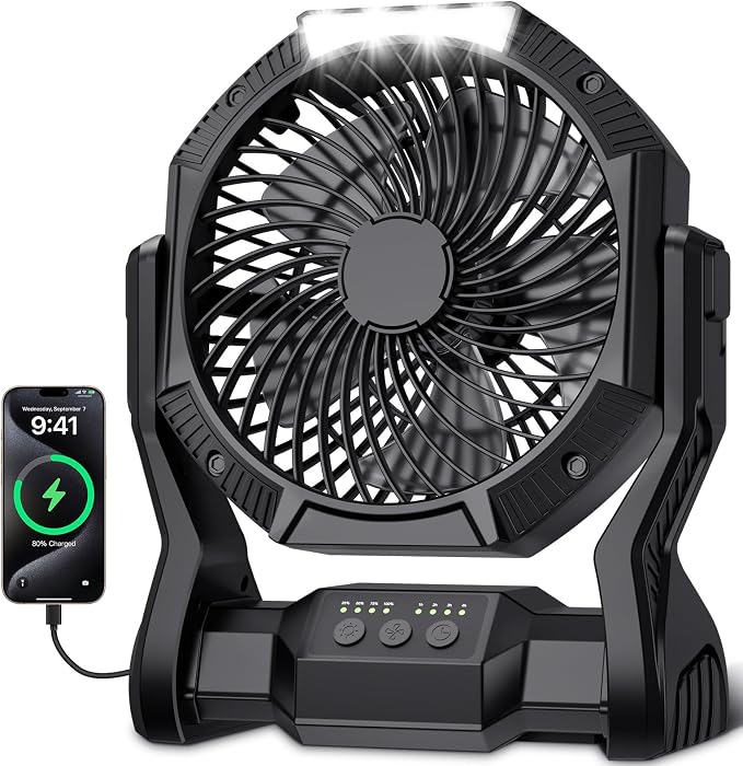 Portable Rechargeable Fan, 20000mAh Battery Powered Camping Fan with LED Light & Hook, 270° Adjustable, 4-Speed, 4H Timer Camping Essentials for Outdoor Tent Travel BBQ Car, Gifts for Men Dad by Unknown