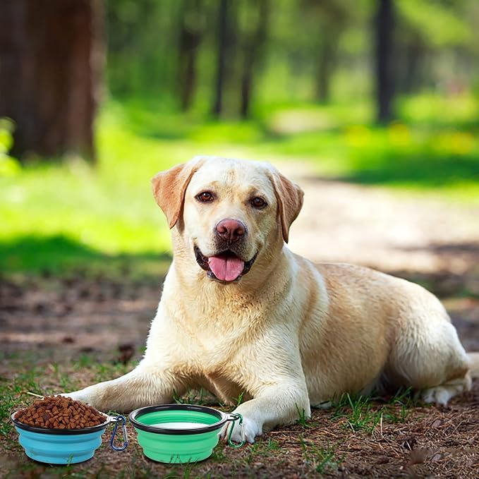 SLSON Collapsible Bowl with Cover Lids,2 Pack Dog Travel Bowls Portable Foldable Cat Water Dish Bowl for Pets Walking Parking Camping (Light Blue and Green, Small) - Image 6