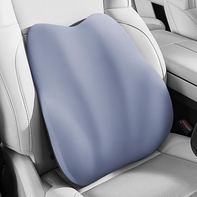 BEBAS Ergonomic Lumbar Support Pillow for Car, Memory Foam Car Back Cushion | Comfort Lumbar Pillow for Back Pain Relief, Breathable Washable Cover, Fits for Driving, Office, Wheelchair, Blue by BEBAS