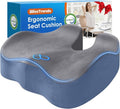 BlissTrends Thick Seat Cushion for Office Chair & Car Seat, XL, Grey&Blue | Memory Foam with Removable Cover, Ergonomic Tailbone & Sciatica Support for Pressure Relief and Long Sitting, 3.9" Thick by BlissTrends