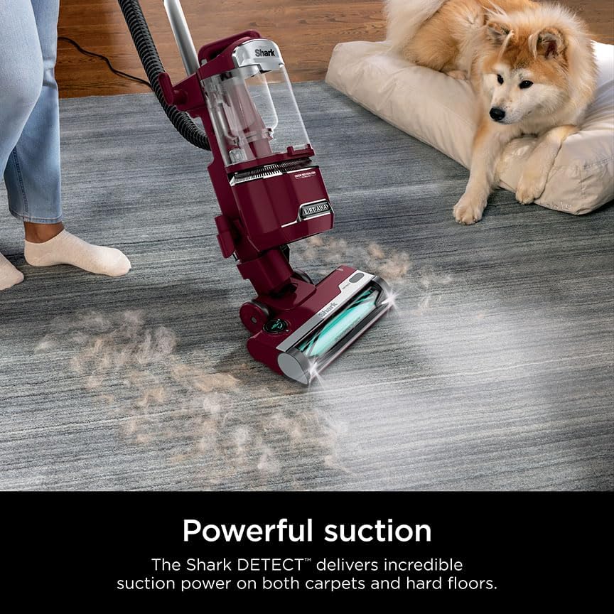 Shark Detect Lift-Away Corded Vacuum, Brushroll, Burgundy, LA492 - Image 2