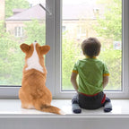 4in x 32.8ft Window Sill Protector, Door Protector from Dog Cat Scratching, Clear Sided Shield Protection Barrier Anti Cat Dog Scratching, Slobbering, and Clawing Furniture, Glass, Car Door - Image 6