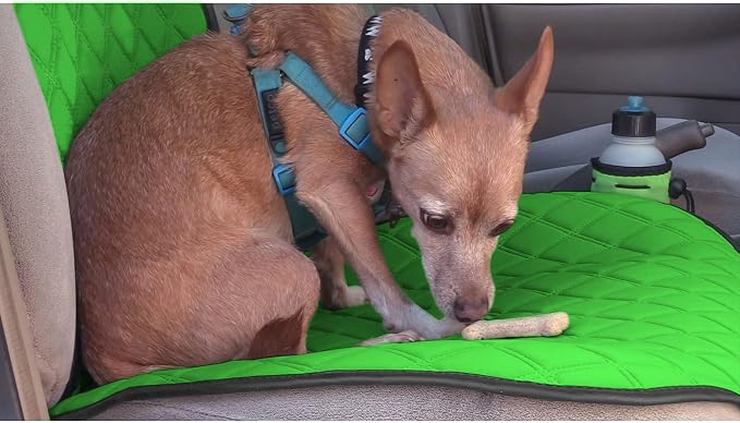 FH Group Car Seat Cushion – Neosupreme Single Front Seat Cover with Front Pockets, Airbag Compatible, Universal Fit Car Seat Cushion for Driver or Passenger Seat, SUV, Truck, Sedan & Van – Green - Image 6