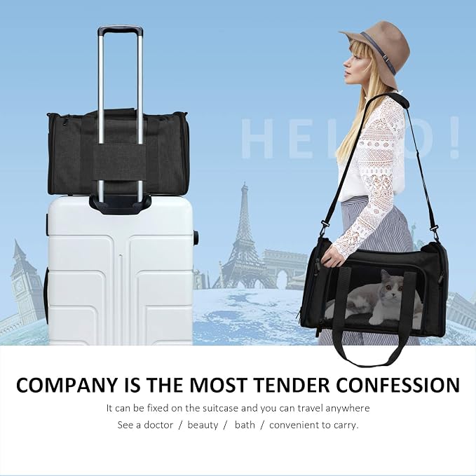Henkelion Large Soft Sided Cat and Pet Carrier for Cats and Puppies up to 25Lbs - Collapsible, Waterproof Travel Carrier - Black - Image 7
