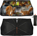 Squirrel Car Windshield Sunshade Umbrella Cute Sun Shade Umbrella for Car Foldable Windshield Umbrella Block UV Rays Heat Keep Vehicle Cool for Cars SUV 57"x30" by PZTZH