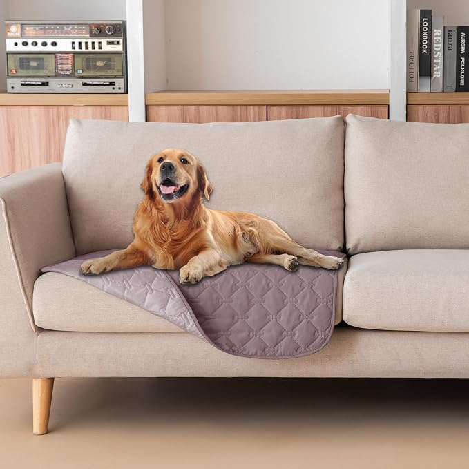 gogobunny 100% Double Sided Waterproof Dog Blanket Soft Pet Bed Cover Reversible Protect Furniture Couch Sofa Car for Puppy Large Dog Cat (Dark Sea Fog/Light Sea Fog, 30x30 Inch (Pack of 1)) by gogobunny