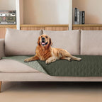 gogobunny Waterproof Dog Blanket, Couch Covers for Sofa, Reusable Pee Pads | Wear Resistant, Leakproof Sofa Cover for Pets, Anti-Pilling, Hypoallergenic, Machine Washable, 30x90 Inch Dark/Light Olive by gogobunny