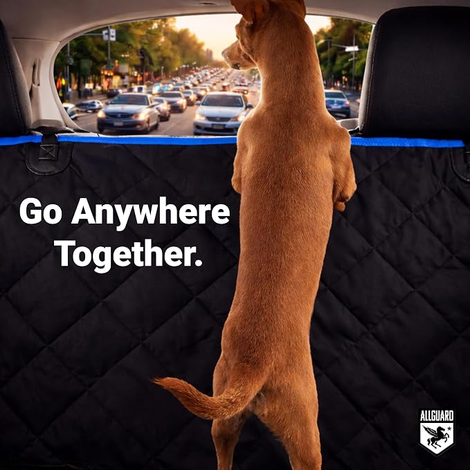Dog Car Seat Cover for Back Seat, Waterproof, Scratchproof, Nonslip, Dog Hammock for Car, Safety Harness Included, Seat Covers for Pet Dogs, Standard Size (Black/Blue) - Image 6