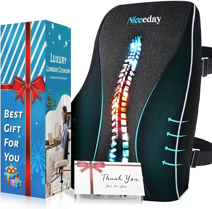 Lumbar Support Pillow for Office Chair Car, Gaming Chair Lower Back Pain Relief Memory Foam Cushion with Greeting Card,3D Mesh Cover Ergonomic Back Rest, Birthday Gift for Dad,Stocking Stuffers by NICEEDAYBRAND