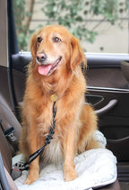 2 Pack Dog Seat Belt Adjustable Dog Car Seatbelts for Vehicle Nylon Pet Safety Seat Belt with Elastic Bungee Buffer Reflective & Durable Car Harness for Dogs… (Black + Blue) - Image 6