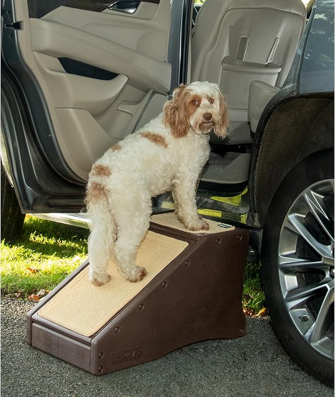 Pet Gear Stramp Stair and Ramp Combination for Dogs/Cats, Espresso | Easy Step, Lightweight/Portable, Sturdy, Easy Assembly (No Tools Required) by PetGear