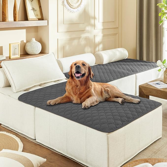 gogobunny Waterproof Blanket for Dogs，Couch Covers for Sectional Sofa | Anti Slip, Hair Resistant, Potty Training Couch Protector, Furniture Covers for Pets, 40x50 Inch Dark Grey by gogobunny